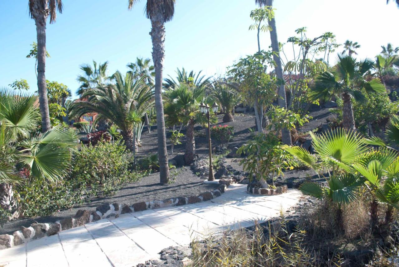 Oasis Royal 3 Piscinas Daire Corralejo Dış mekan fotoğraf
