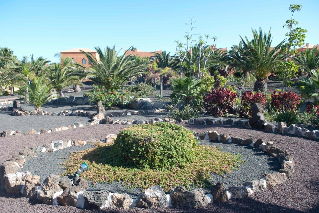 Oasis Royal 3 Piscinas Daire Corralejo Dış mekan fotoğraf